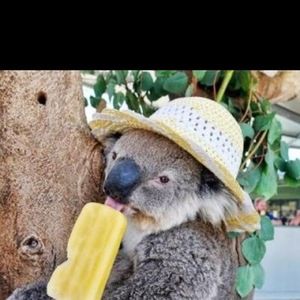 Meet your Posher, Nia